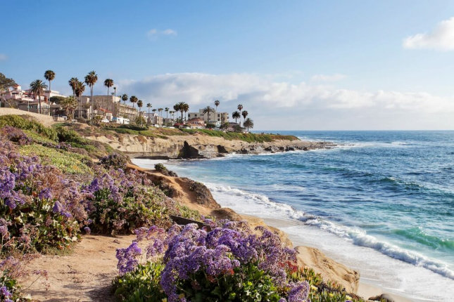 street in Laguna Beach