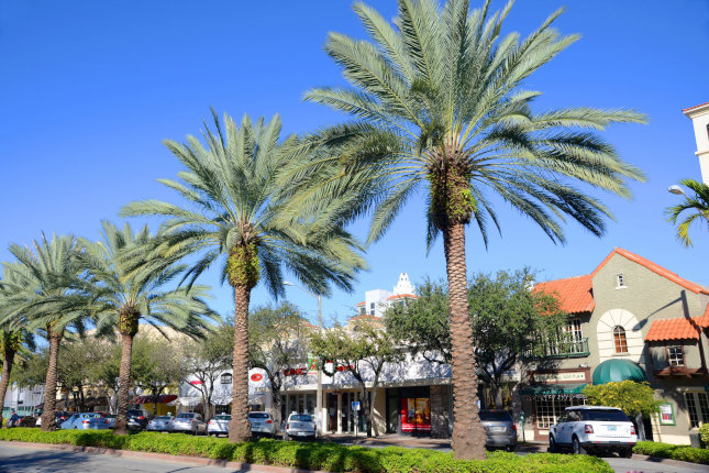 street in Fort Myers, Florida