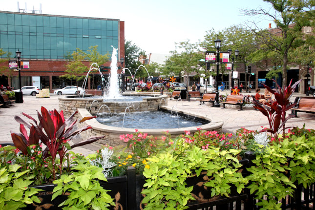 street view in Elmhurst, Illinois